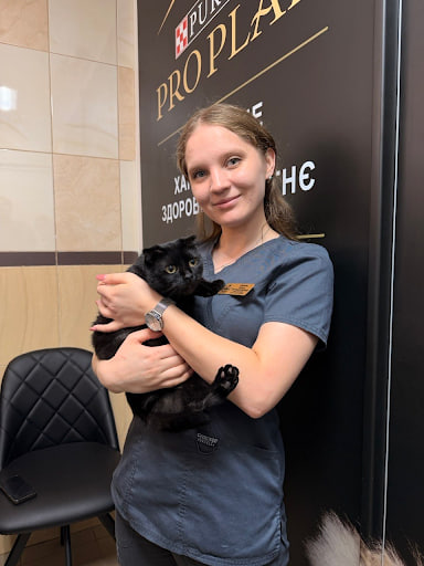 Сечокам'яна хвороба у котів та собак: що відбувається і яка діагностика потрібна