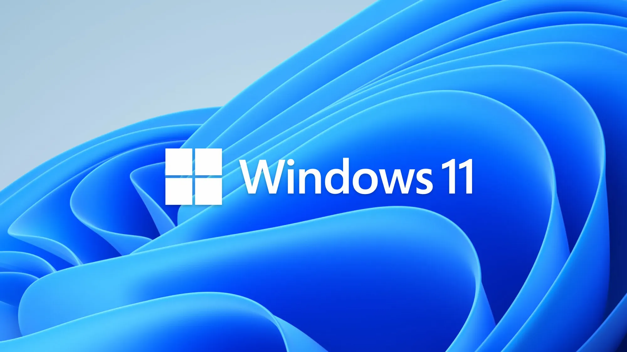windows_11_logo