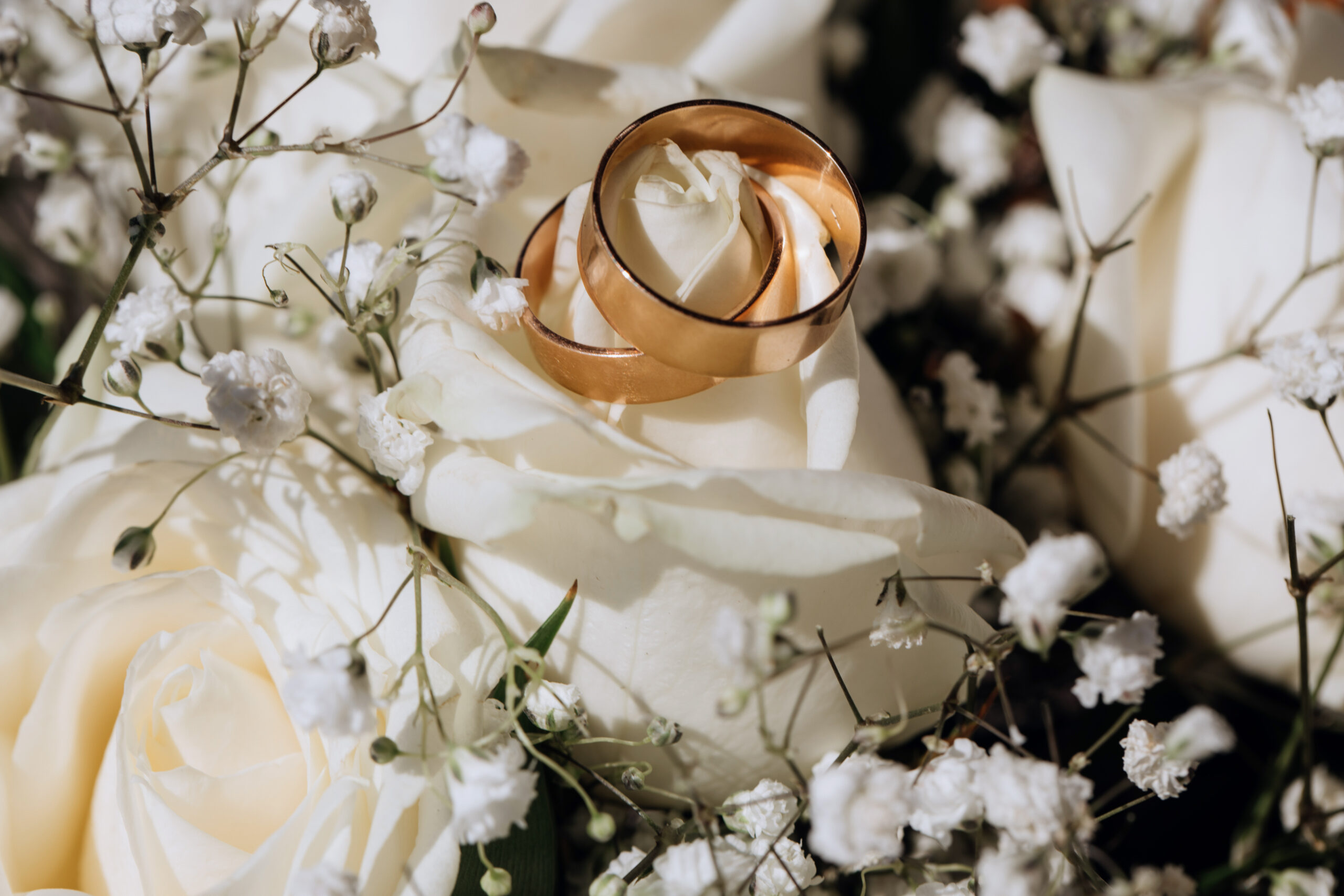 Golden wedding rings on the white rose from the wedding bouquet привітання з розписом